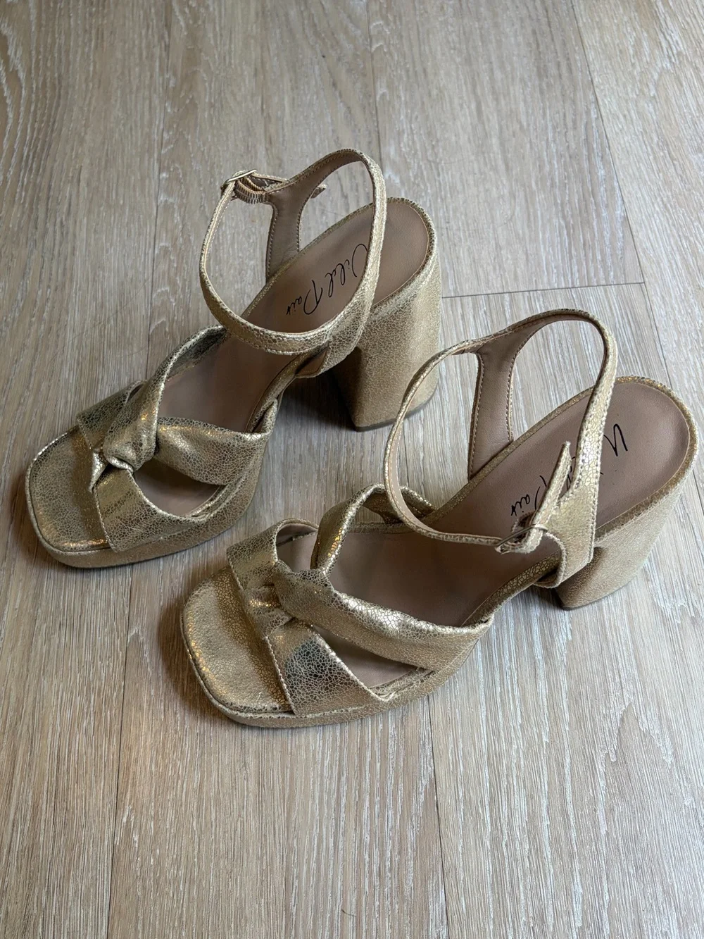 Wild Pair Metallic Gold Chunky Block Heels